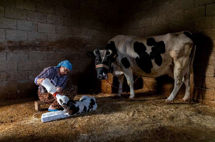5. Geleneksel Aksa Fotofest Yarışması sonuçlandı