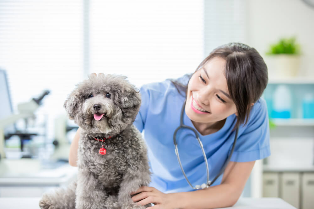Royal Canin Türkiye, geleceğin kadın veteriner hekimlerini destekliyor