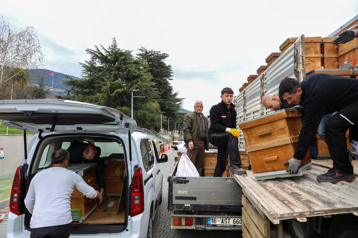 Arıcılık Bursa'da B&uuml;y&uuml;kşehir'le canlandı
