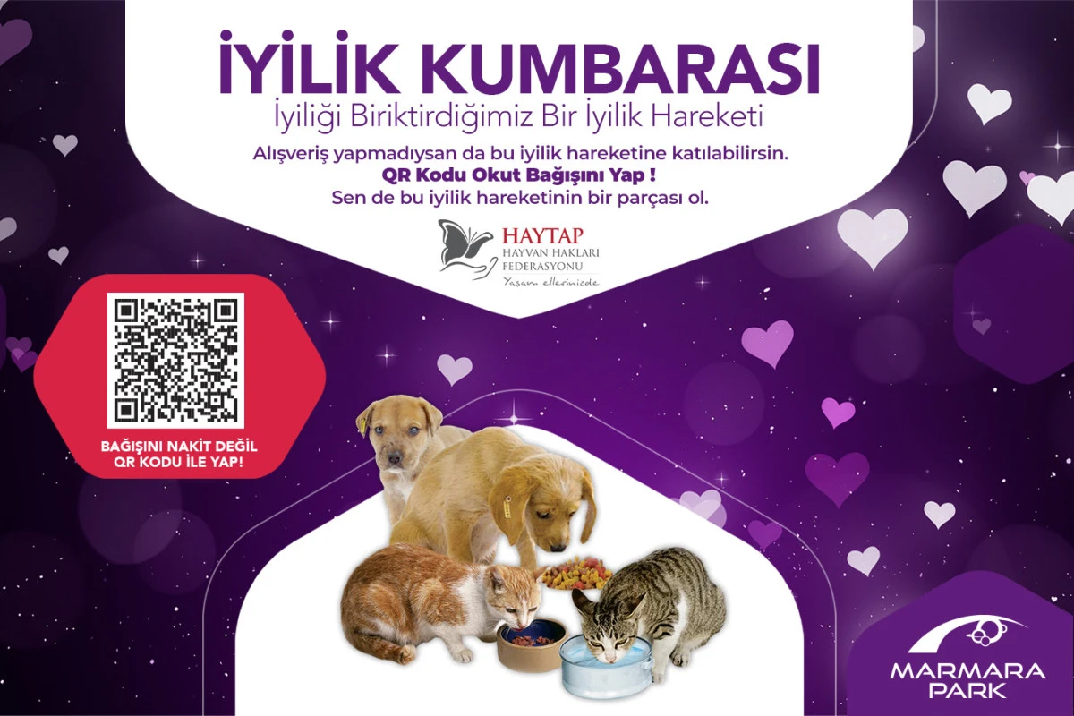 Haytap İş Birliğiyle &ldquo;İyilik Kumbarası&rdquo; Bu Kez Sokak Hayvanlarına Umut Oluyor