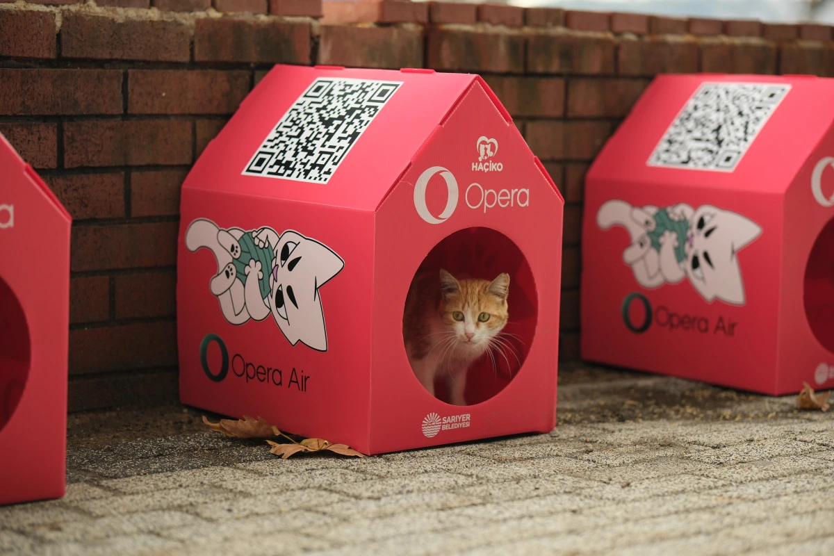 Opera “Kedi Mahallesi” oluşturmak için HAÇİKO ile güçlerini birleştirdi